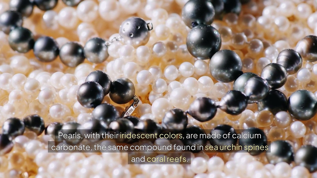 Oysters & Pearls