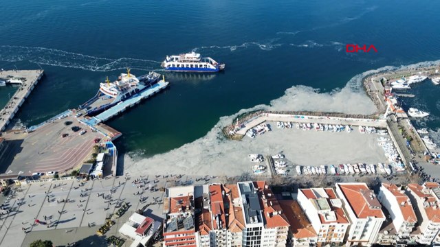 Çanakkale Boğazı’ndaki müsilaj devam ediyor