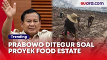 Prabowo Ditegur soal Proyek Food Estate, Gagal Swasembada Pangan Jadi Ancaman