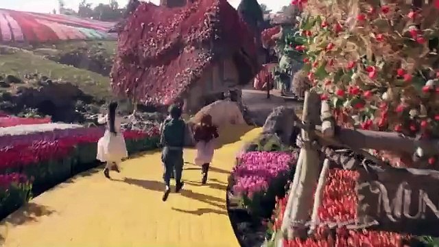 Wicked (2024) Movie Explained in HindiUrdu Wicked is Awsome Summarized हिन्दी