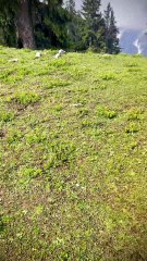 Beautiful Nature: Adventure Hiking in Pakistan