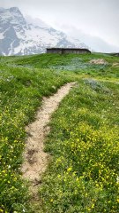 Serene Escape: Breathtaking Nature Scenery