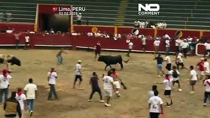 مهرجان "بامبلونادا ريمنسي" يحاكي سباق الثيران الإسباني في ليما