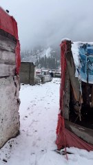 Magical Live Snowfall: Breathtaking Winter Wonderland