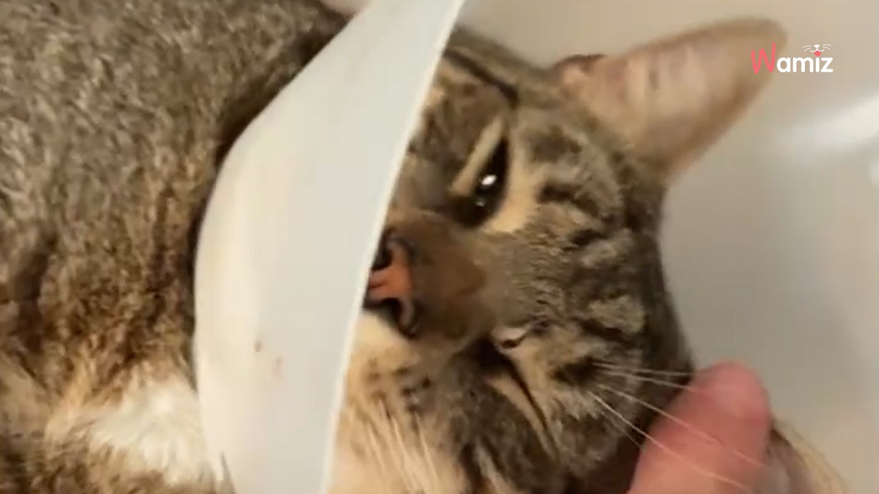 « Ma mère ne peut plus s