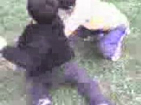 baston de ta de merde 2