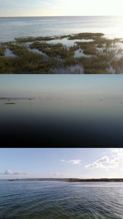 Le Bassin d'Arcachon tout en nuances de gris