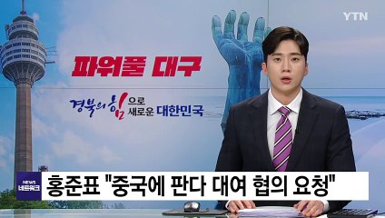 [대구] 홍준표 "중국에 판다 대여 협의 요청" / YTN