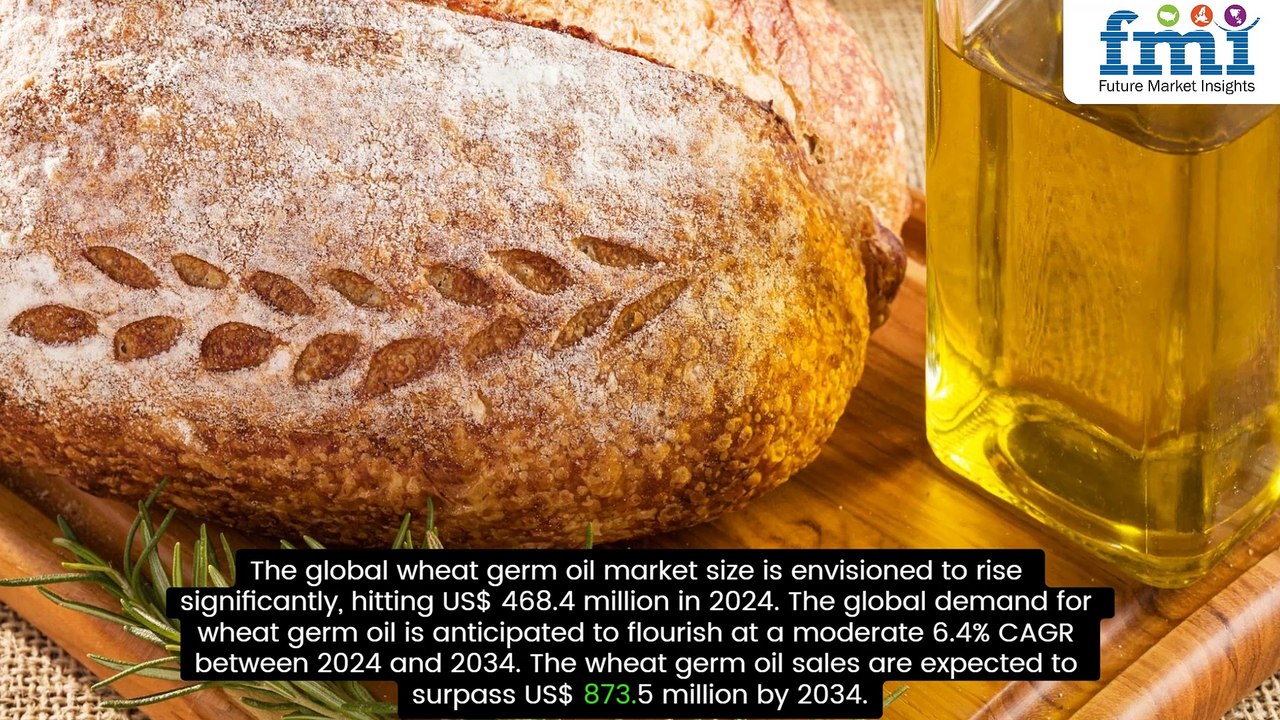 Wheat Germ Oil: A Game-Changer in Skincare & Nutrition – Market Insights