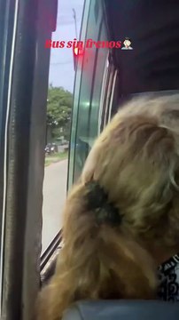 Así fue momento en que bus sin frenos impacta contra otro vehículo en SPS