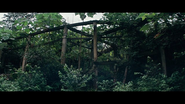 J'ai vu trois lumières noires Bande-annonce VO STFR