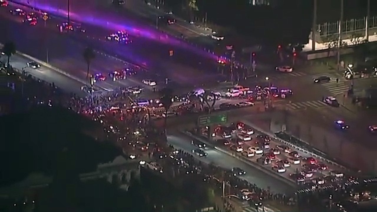 Anti-Trump protesters block LA freeway for hours in response to president's illegal immigration crackdown