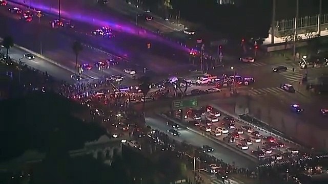 Anti-Trump protesters block LA freeway for hours in response to president's illegal immigration crackdown
