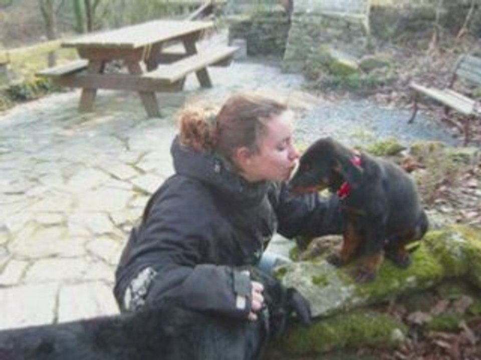 Team cani-vacances