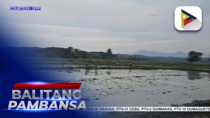 Mga programa ni PBBM sa sektor ng agrikultura, suportado ng Iwahig Prison & Penal Farm sa Palawan
