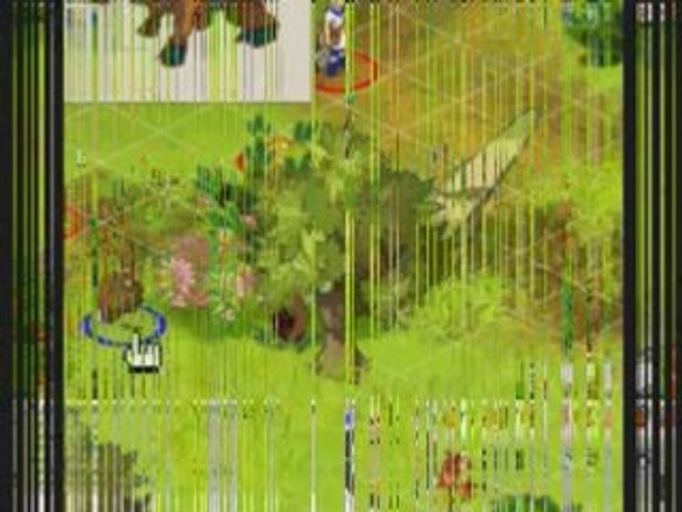 Moreen de Dofus