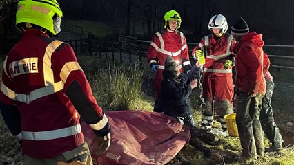 Fire crews rescue horse from a ditch in Cwmann