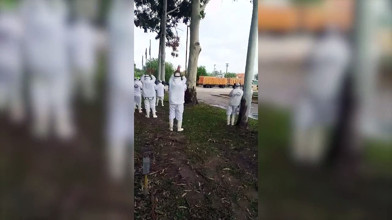Multitudinaria manifestación en la planta de Granja Tres Arroyos en reclamo por los despidos