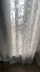 Girl's first snow experience goes hilariously wrong with a slip