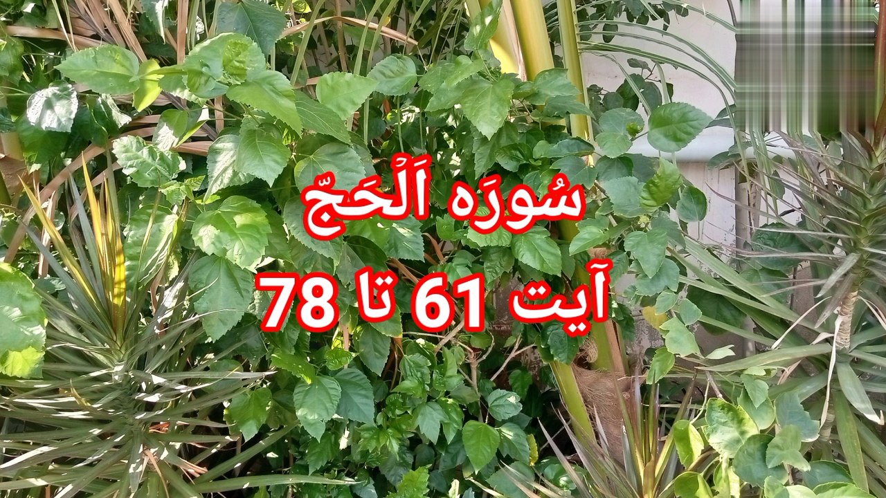 Surah Al Hajj | Surat ul hajj | quran pak ki tilawat | quran recitation | bubak learn quran |