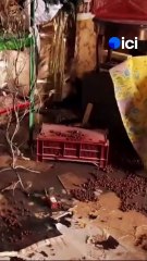 Après la décrue, les sinistrés de Saint-Nicolas-de-Redon découvrent l'ampleur des dégâts