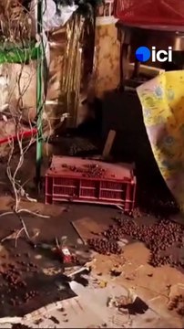 Après la décrue, les sinistrés de Saint-Nicolas-de-Redon découvrent l'ampleur des dégâts