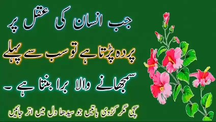 Insaan ki Aqal Par ! Best Urdu Quotes💯! Urdu Islamic Quotes💥! Islamic YouTube 🔥! ISLAMIC URDU MEWAT🌴