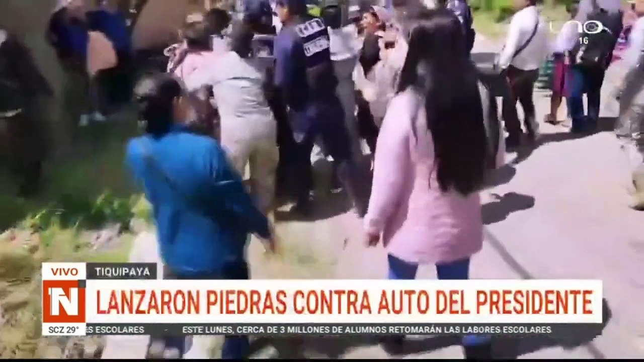 murio negrito, el perrito atropellado por un chofer ebrio