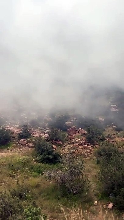 VID-20250117-WA0001