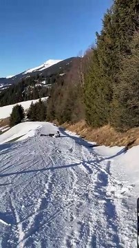 Skiing fail: Skier falls and stumbles with every attempt to stand