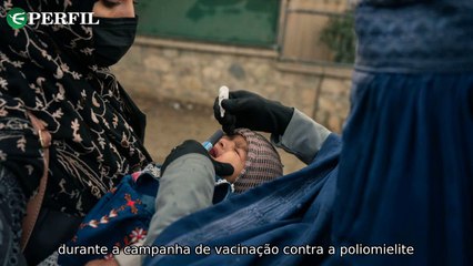 "Tragédias e descobertas: Urso drogado, quadro raro e policial morto em campanha de vacinação"