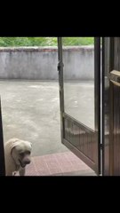 I'm so exhausted 😳🥹