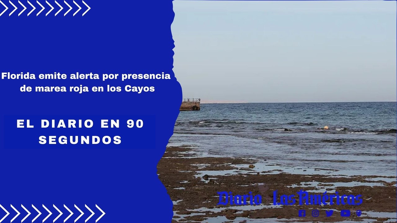 Florida emite alerta por presencia de marea roja en los Cayos | El Diario en 90 segundos