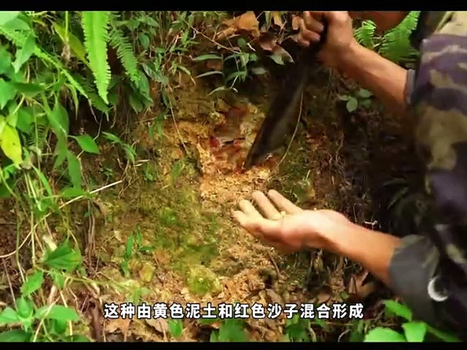 Use the rock walls to build a stone shelter to hide from wild animals! #Wild Construction #Wildlife Survival #Shelter Construction #outdoor #Content-inspired search Using the rock wall to build a stone shelter to avoid attacks from wild animals! #wildern