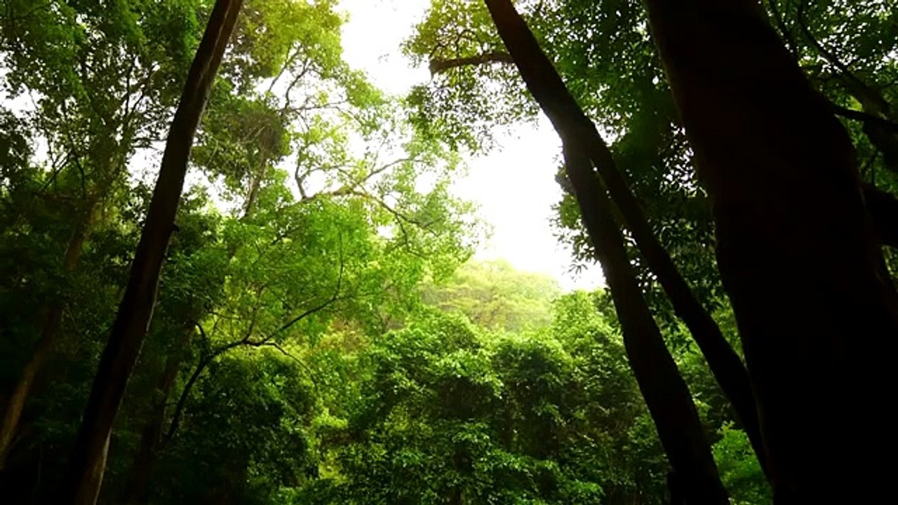 LAISSEZ-MOI & Dormez Bien Ce Soir ➤ Endormez-Vous Vite ➤ Relaxez & Sentez-Vous Calme ➤ Musique de Piano