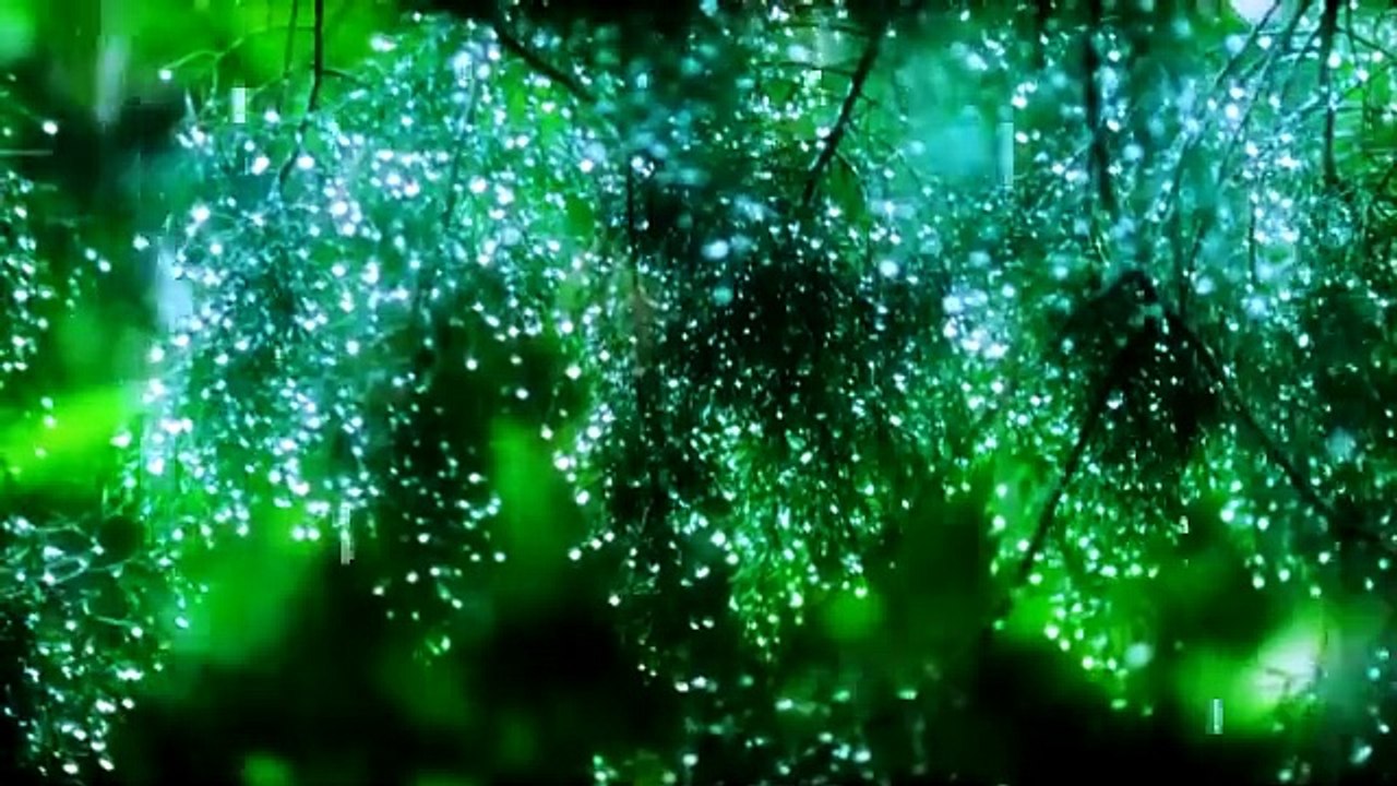 Musique relaxante + doux bruits de pluie. Musique apaisante pour dormir, soulager le stress, détente.