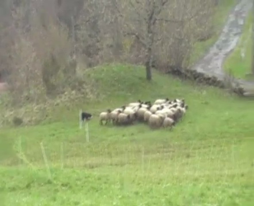 Générique 3