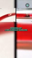 🤖 Des micro-robots inspirés des fourmis 🐜