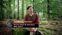 Documental Ikea: El Señor de los Bosques