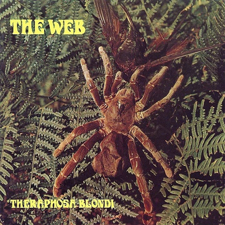 The Web – Theraphosa Blondi : Blues Rock, Psychedelic Rock  Year:1969.