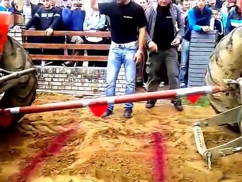 Imt 560 vs Ursus C 360 Traktoirjada Slabinja 2014