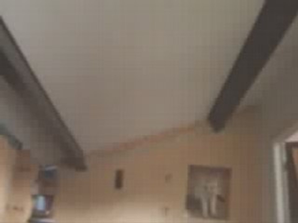 gogo fait de la tecktonik