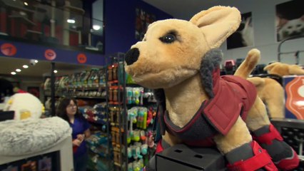 Attaqué par deux chiens, il lance un message aux propriétaires insouciants