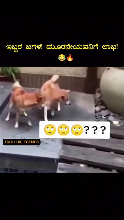 تم سرقت العشاء