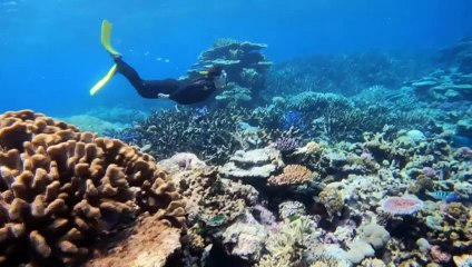 Alice Springs tourism sector hopeful after new flights announced for 2025