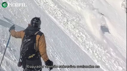 "Resgate incrível, asteroide misterioso e camarão gigante: as surpresas do mundo selvagem!"