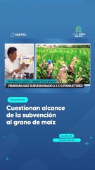 Cuestionan alcance de la subvención al grano de maíz