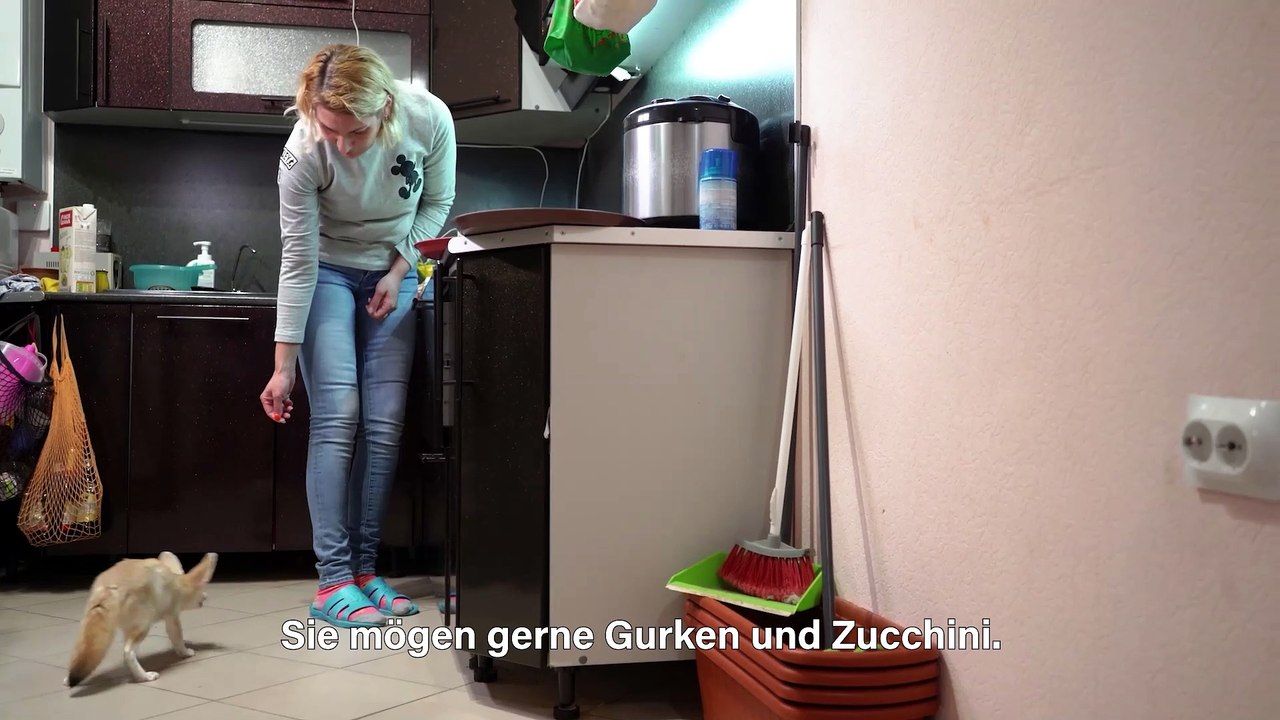 Mein bester Freund: der Wüstenfuchs