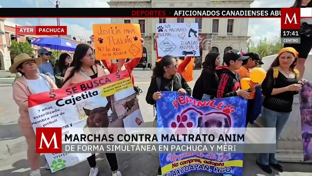 En Pachuca y Mérida se realizaron marchas contra el maltrato animal