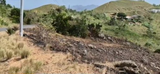 Controlan incendio en el Parque Nacional de Loma Campana